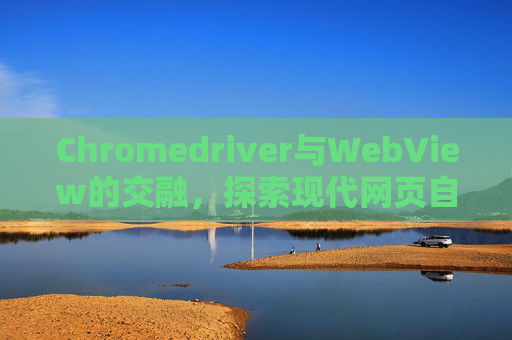 Chromedriver与WebView的交融，探索现代网页自动化的新境界